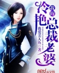 我的冷艳总裁老婆