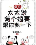 没有出轨但是想离婚