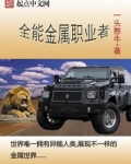全能金属职业者