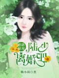 婚路漫漫：陆少离婚吧！