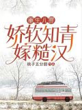 重生八零娇软知青嫁糙汉